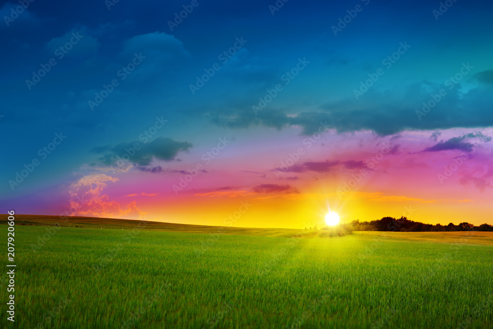 Green field and olorful sunset. Green field and olorful sunset.