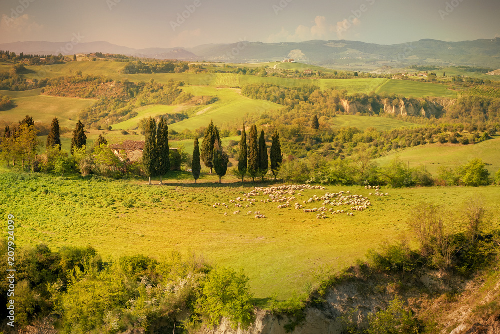 Tuscan hills, Tuscan landscape. Tuscany, Italy