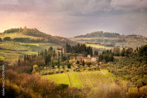 Chianti vineyards in Tuscany, Italy. photo