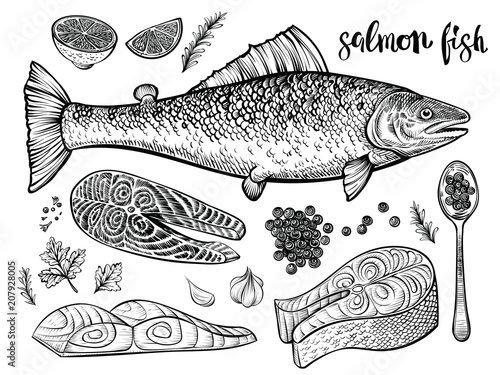 Salmon fish hand drawn vector sketch. Illustration of seafood. Fillet and steak, red caviar on spoon and fish side view.