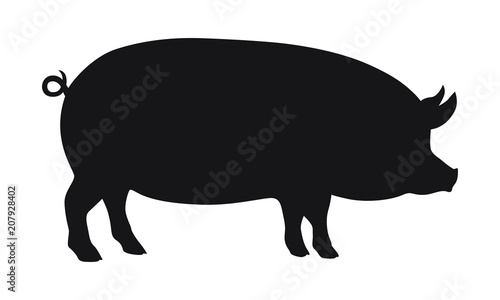 Pig graphic icon. Pig black silhouette isolated on white background. Vector illustration