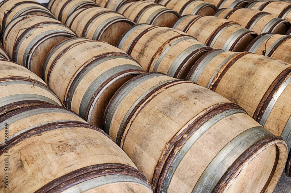 Barrels Of Wine In Chablis
