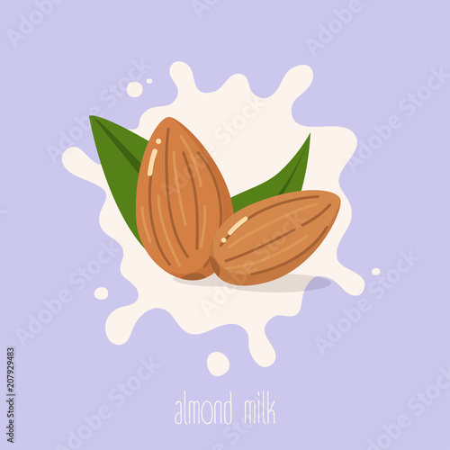 Almond milk. Almond nuts on a milk splash. Vector illustration.
