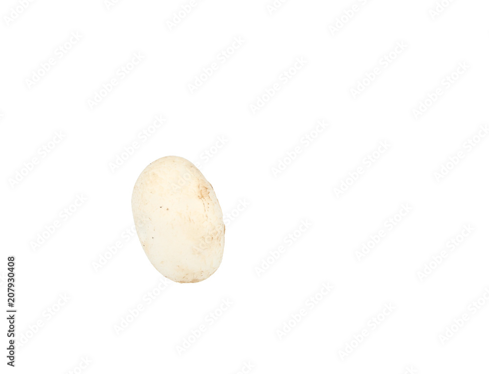 Mushrooms whole single Mushrooms whole single