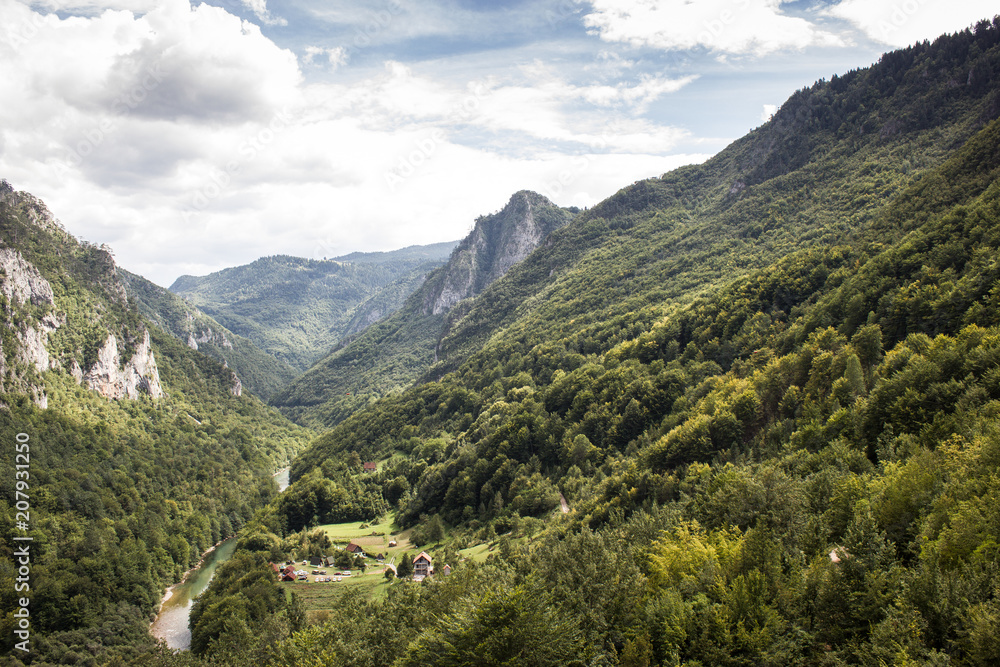 Fototapeta premium river and shaft beam of light. mountain river in the wood.