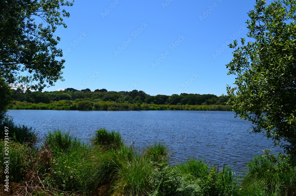 Fototapeta premium Étang et ciel bleu