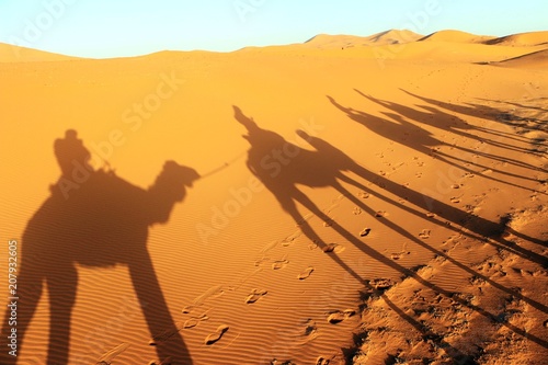 Camal caravan on a Nomad trip through sand desert