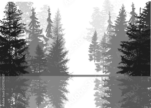 black and grey coniferous forest with reflection
