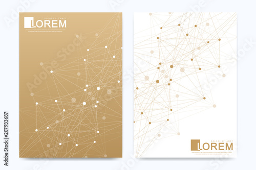 Modern vector template for brochure Leaflet flyer advert cover banner magazine or annual report A4. Business, science, medical design book layout. Golden cybernetic dots. Lines plexus. Card surface