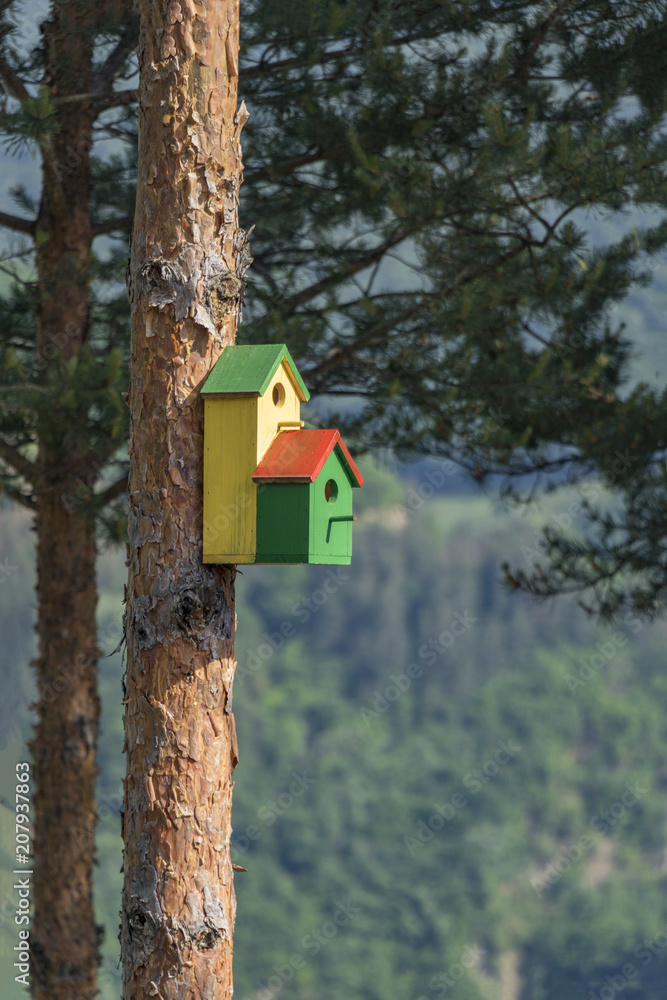 Naklejka premium Birdhouse, tree, Bulgaria
