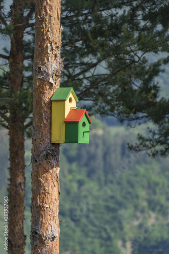 Birdhouse, tree, Bulgaria