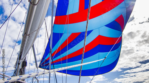Bild auf Leinwand Flying a colorful spinnaker on a seaworthy sailing yacht
