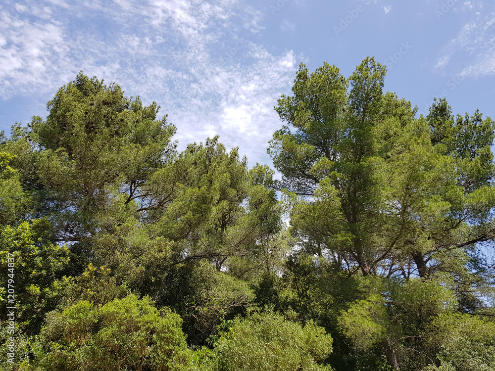 Paesaggio di Sardegna