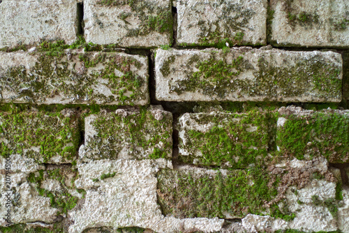 An old brick wall with moss
