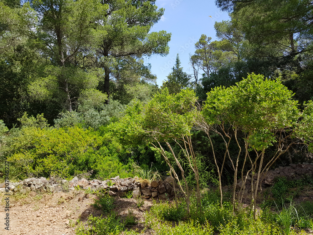 Fototapeta premium Paesaggio di Sardegna