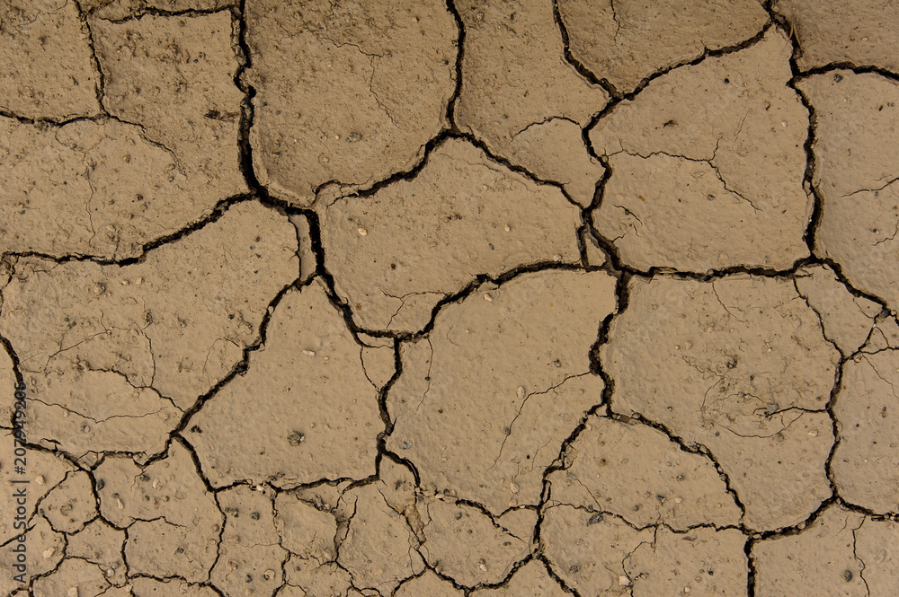 Dry solid ground texture for the background image Dry solid ground texture for the background image