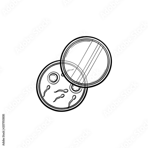 Sperms and eggs in petri dish hand drawn outline doodle icon