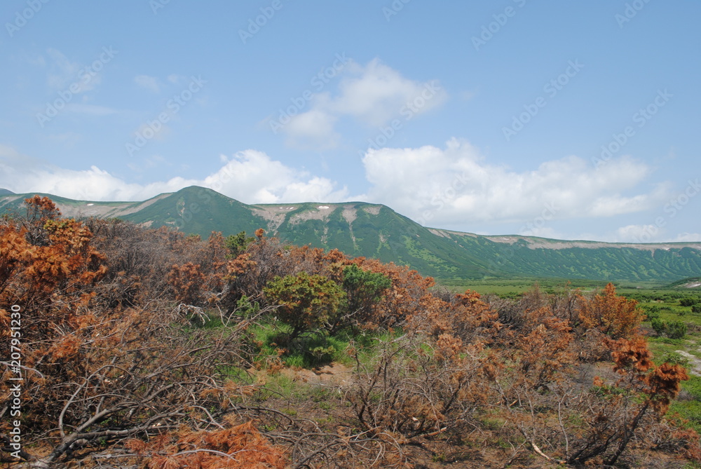 Kamchatka. Harsh and beautiful region.