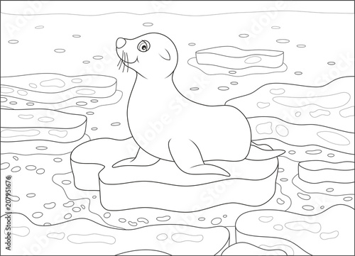 Seal on a drifting ice floe in a polar sea, black and white vector illustration in a cartoon style for a coloring book