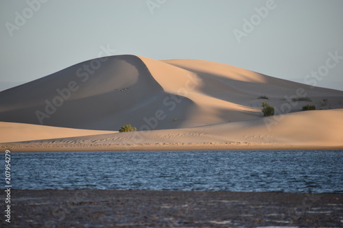 The biggest sand dunes from South Africa near the Sundays River in Colchester near Addo Elephant Park