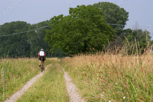 ciclista pedala in campagna © coloroby