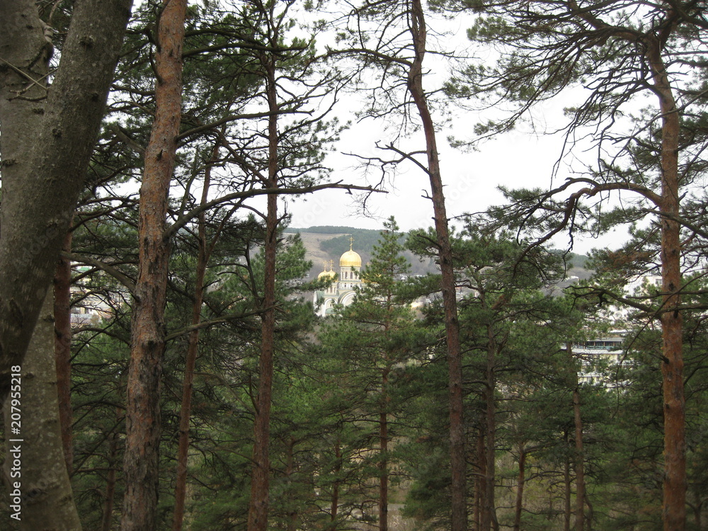 Fototapeta premium St. Nicholas Cathedral in Kislovodsk. Its Golden domes are visible among the pines. In the foreground high pine trees, and in the distance against the green mountains visible snow-white St. Nicholas C