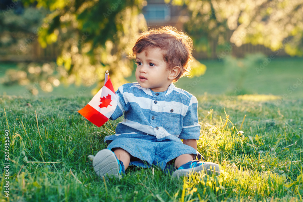 portrait of little white Caucasian baby boy holding Canadian flag