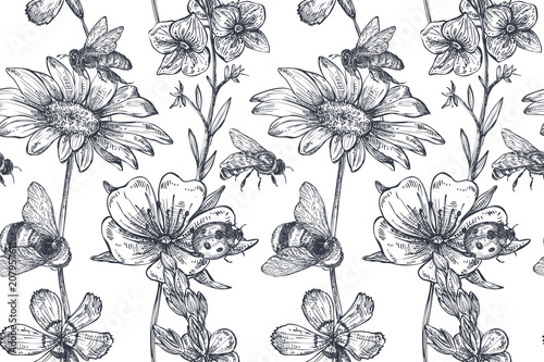 Vector seamless pattern with hand drawn chamomile, wildflowers, herbs, bee