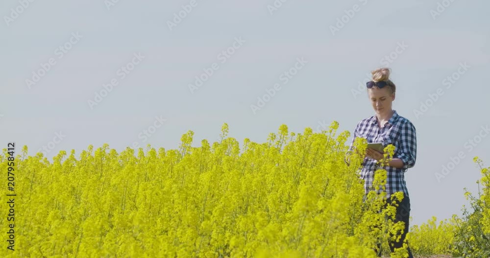 Farmer Touching Screen Of Digital Tablet At Rapeseed Field Farmer Touching Screen Of Digital Tablet At Rapeseed Field