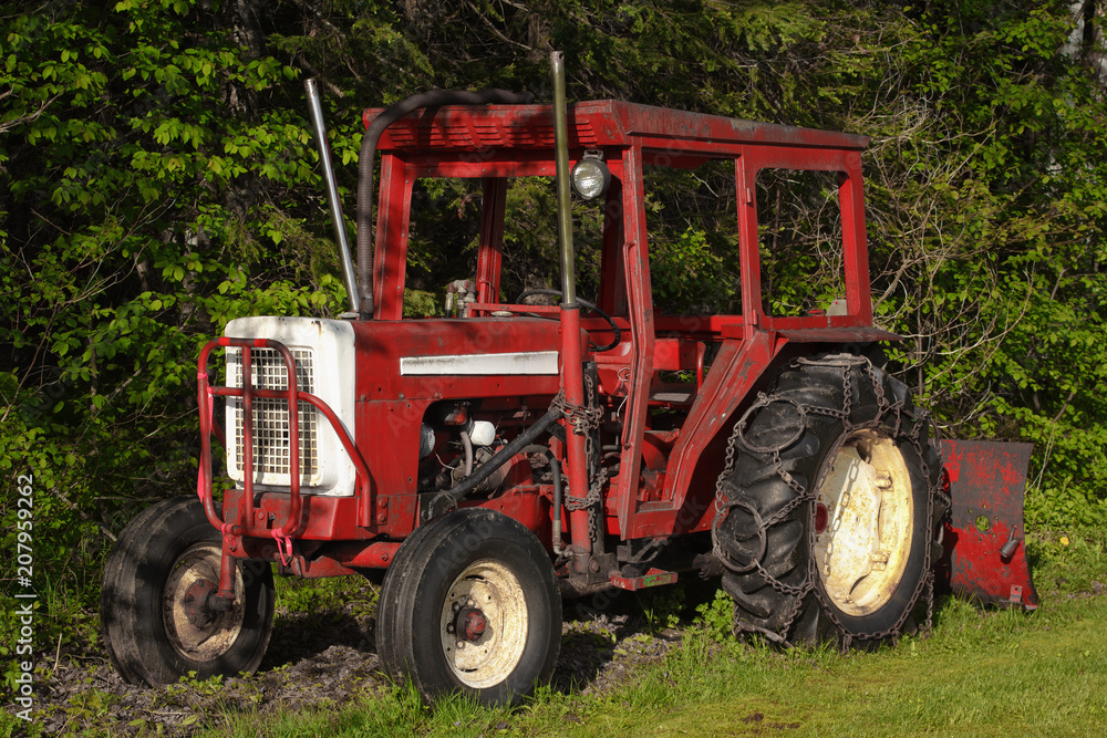 Old red farm tractor in front of foliage. Old red farm tractor in front of foliage.
