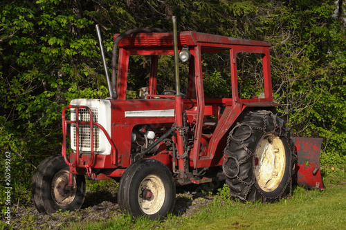 Old red farm tractor in front of foliage.