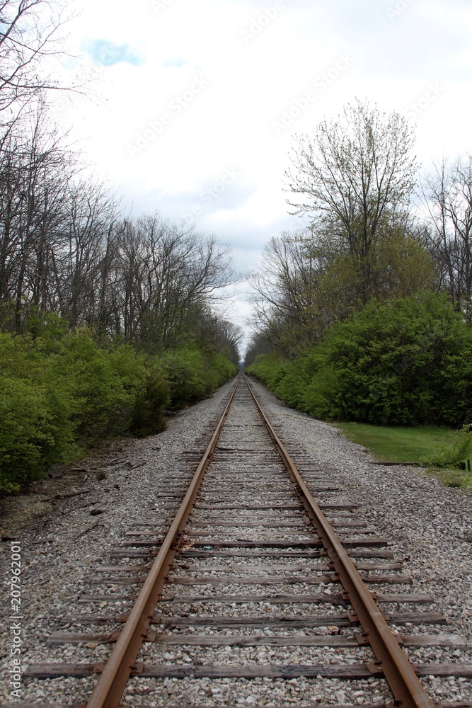 The long railroad tracks in the forest on a cloudy day.