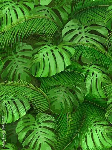 Seamless pattern of tropical leaves. Palm and monstera foliage for invitation card, wallpapers or textile design