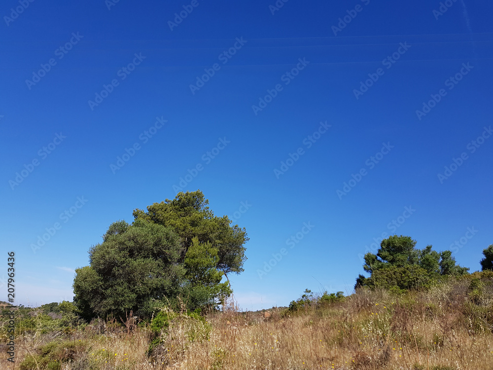 Obraz premium Paesaggio