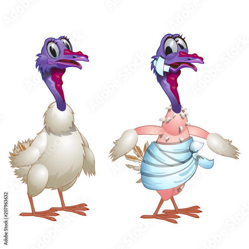 Healthy and diseased gobbler isolated on white background. Vector cartoon close-up illustration.