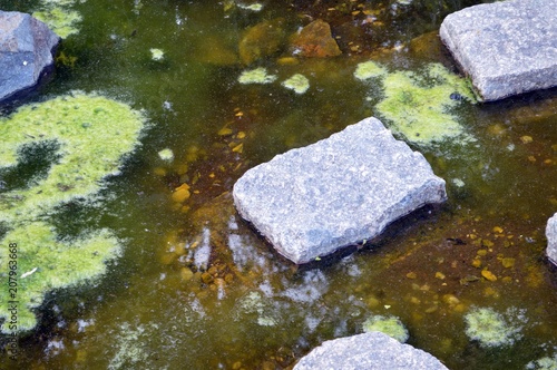 swampy pond with square stones