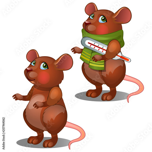 Healthy and diseased mouse isolated on white background. Vector cartoon close-up illustration.