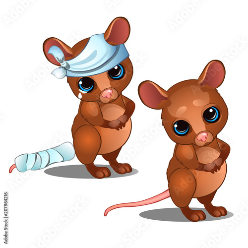Healthy and diseased mouse isolated on white background. Vector cartoon close-up illustration.