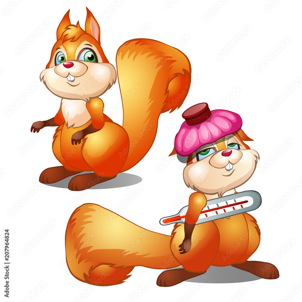 Naklejka premium Healthy and diseased squirrel isolated on white background. Vector cartoon close-up illustration.