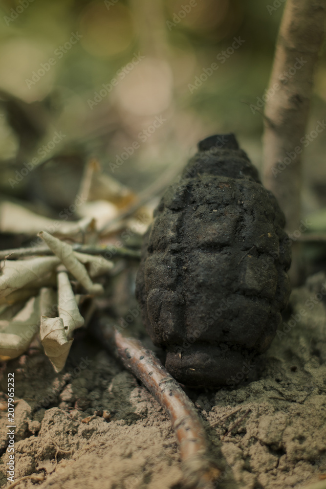 Echo of World War II, in the forest Echo of World War II, in the forest