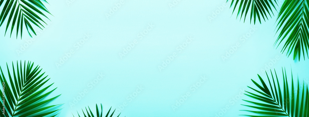 Tropical palm leaves on pastel turquoise background. Minimal summer concept. Creative flat lay with copy space. Top view green leaf on punchy pastel paper. Banner
