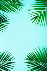 Tropical palm leaves on pastel blue background. Minimal summer concept. Creative flat lay with copy space. Top view green leaf on punchy pastel paper