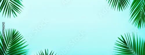 Obraz Tropikalne liście palmowe na pastelowym turkusowym tle. Minimalna koncepcja lato. Kreatywne mieszkanie leżało z miejsca kopiowania. Widok z góry zielony liść na mocnym pastelowym papierze. Transparent