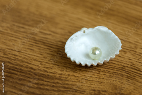 White shell with oyster pearl in it. Luxury jewelry accessory.