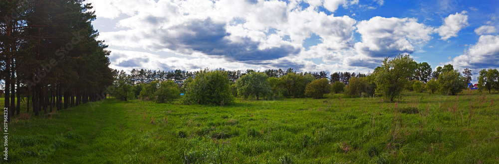 Abandoned Apple orchard in Russia. republic of bashkortostan. Panoramic photo