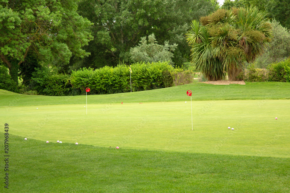 Fototapeta premium Golf course with trees, balls and pegs