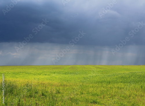 A solar field in a summer shower