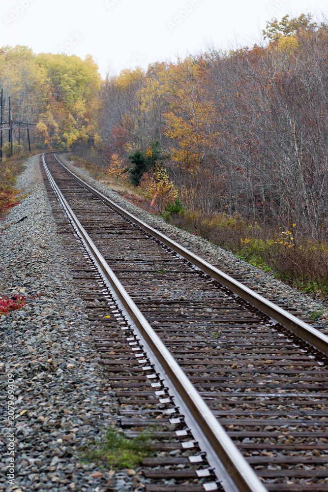 Single train tracks in a rural area during the fall season with coloured leaves along each side Single train tracks in a rural area during the fall season with coloured leaves along each side