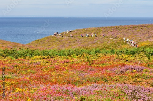 Tableau sur toile Des randonneurs sur le sentier de randonnée au Cap Fréhel en Bretagne