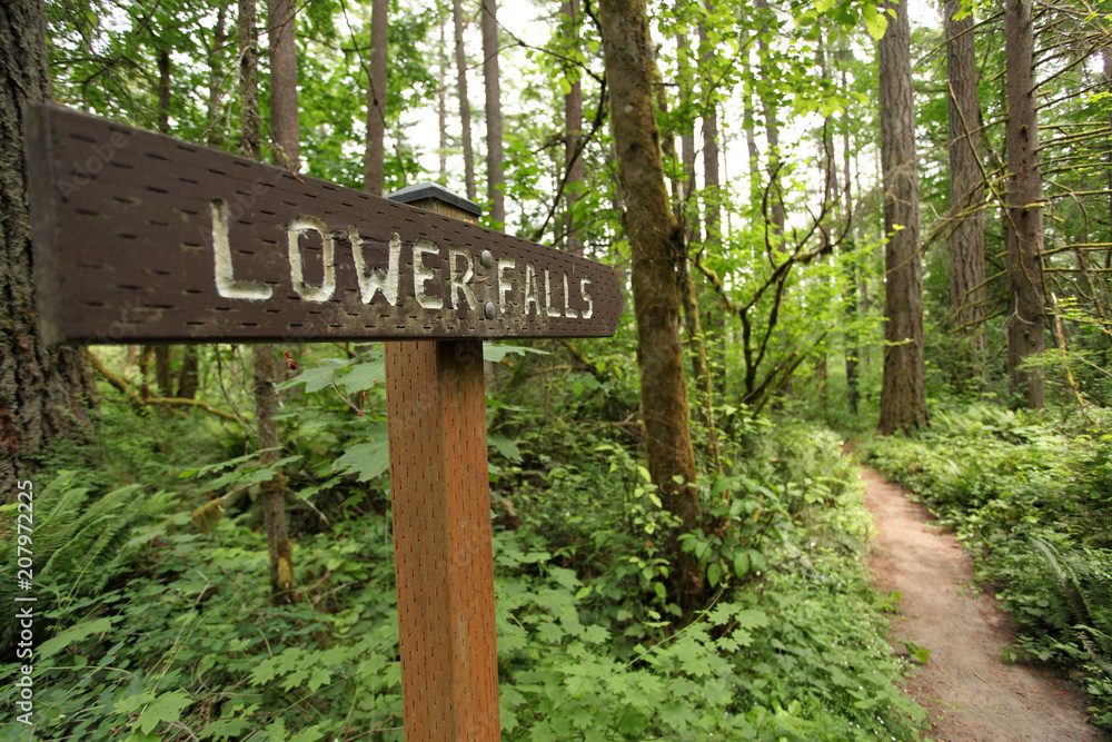 Trail head sign at Lacamas Park in Camas, WA. Trail head sign at Lacamas Park in Camas, WA.